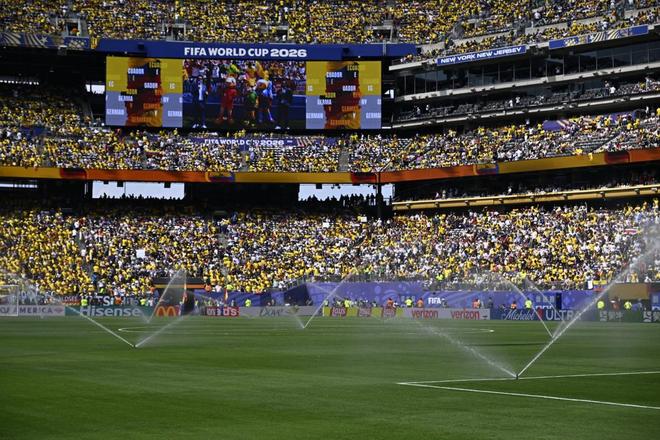 FIFA世界杯决赛草皮碎片开售：8104份纪念品总价近1120万美元，决赛未踢先引爆抢购
